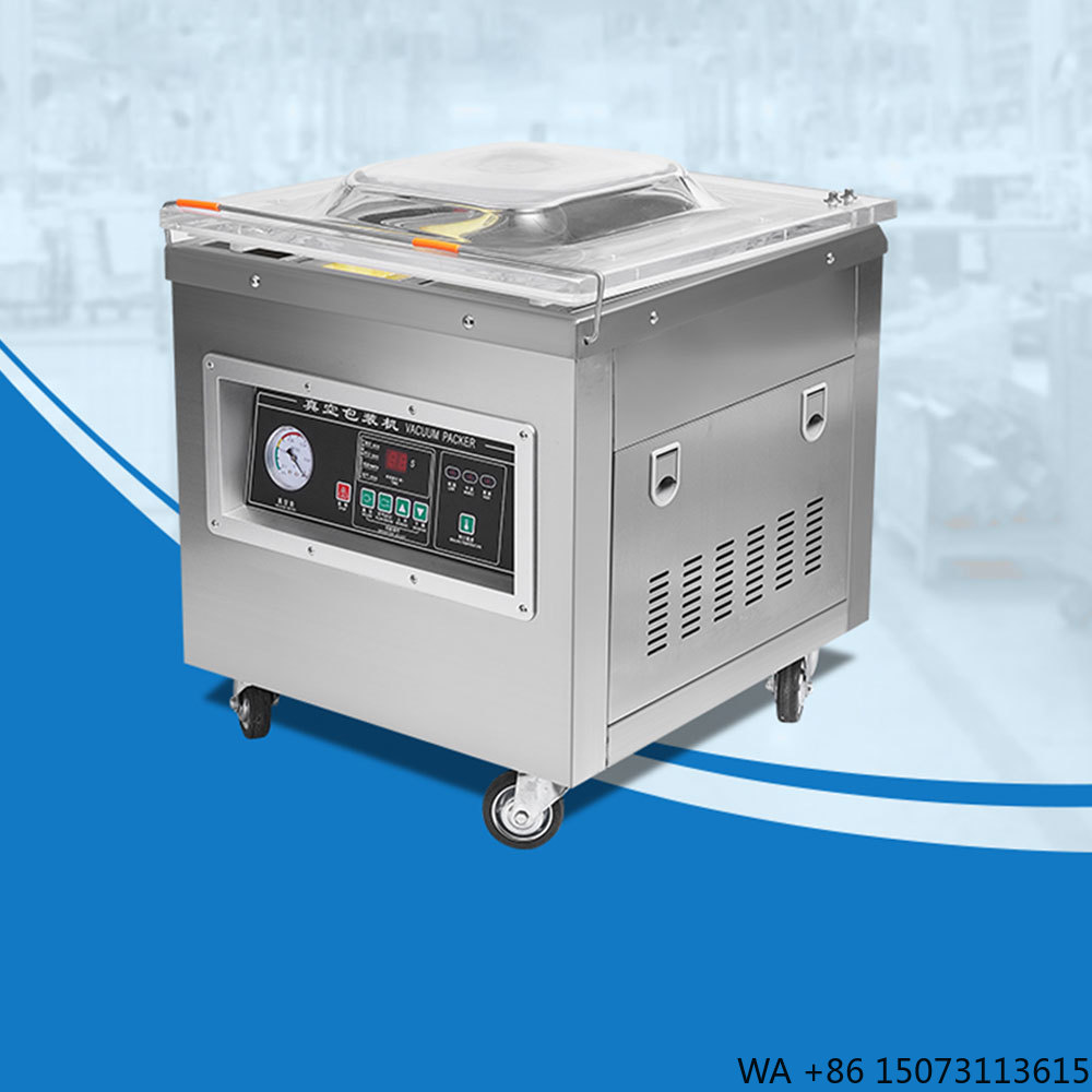 Vacuum Sealer - Dz-400 전문가용 데스크탑 진공 포장기 자동