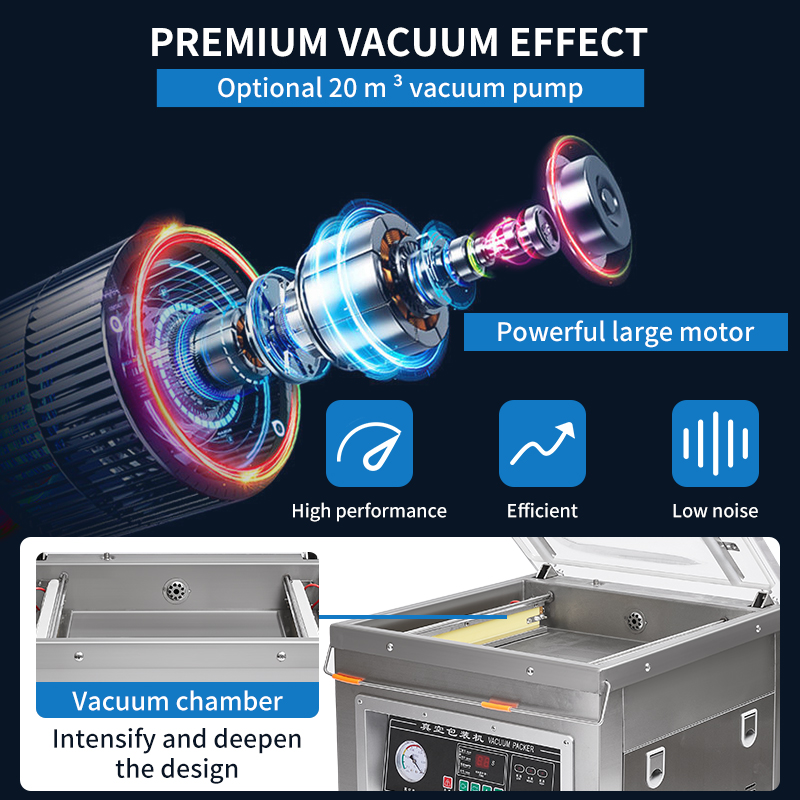 Dz-400 전문가용 데스크탑 진공 포장기 자동 상품/ - Vacuum Sealer 리뷰 및 가격