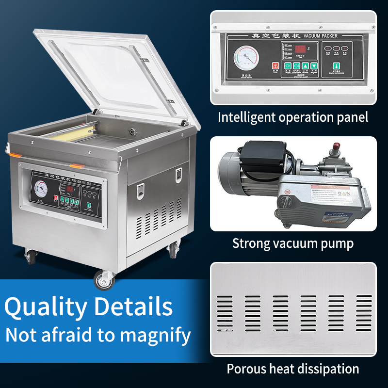 Dz-400 전문가용 데스크탑 진공 포장기 자동 상품/ - Vacuum Sealer 리뷰 및 가격