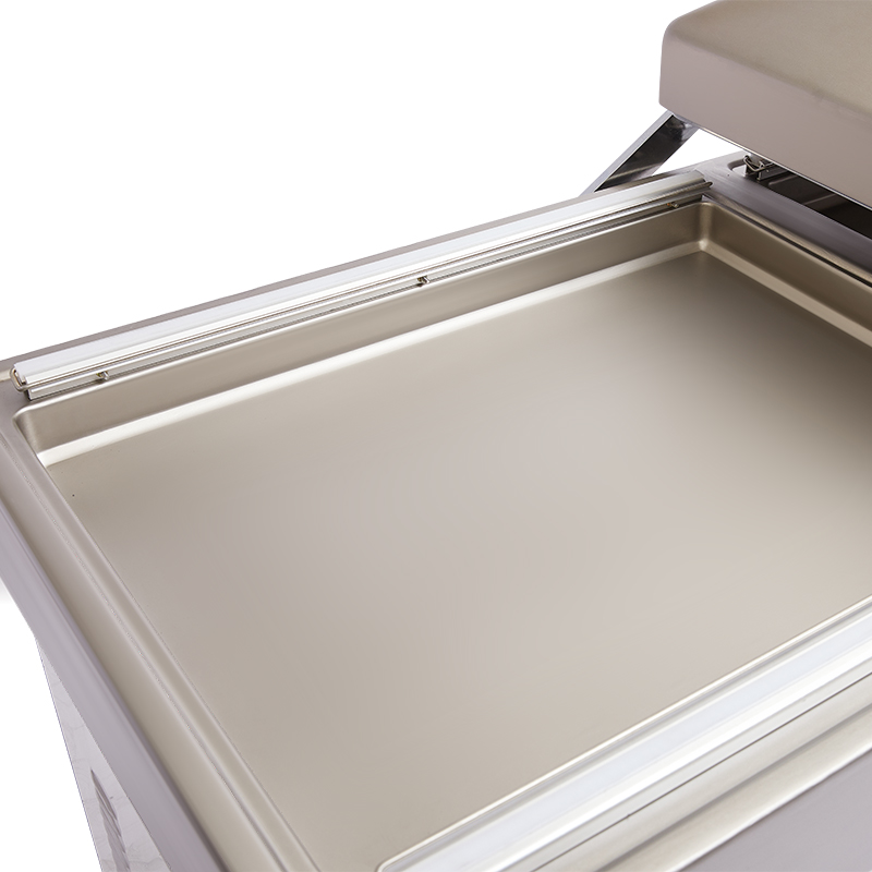 Dz-800_2sb 이중 챔버 진공 포장기 (식품용) - Vacuum Sealer 리뷰 및 가격