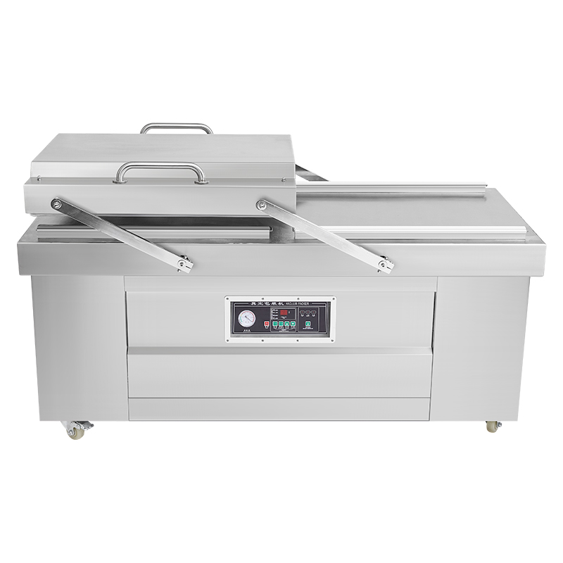 이중 진공 밀봉 DZ-800-A 포장기 - 식품 보존  - Vacuum Sealer 리뷰 및 가격