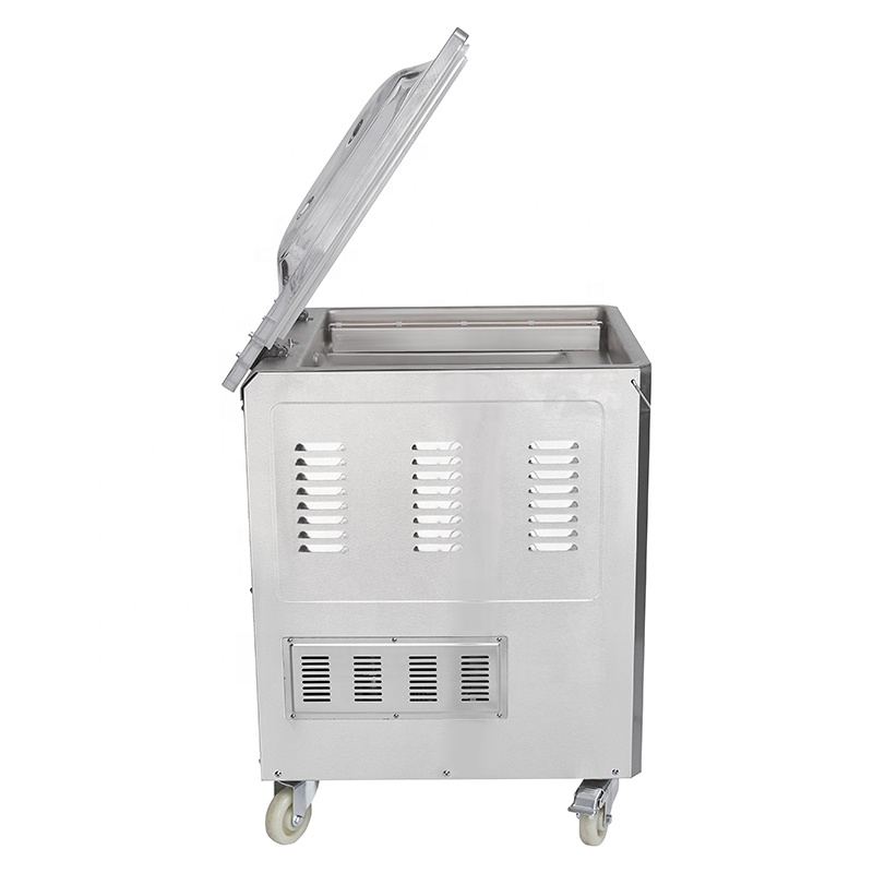 푸베이 DZ-500 2Evacuum 실러/단일 챔버 진 - Vacuum Sealer 리뷰 및 가격